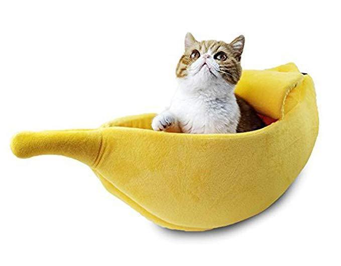 KittyPeel - Pet Banana Hideaway